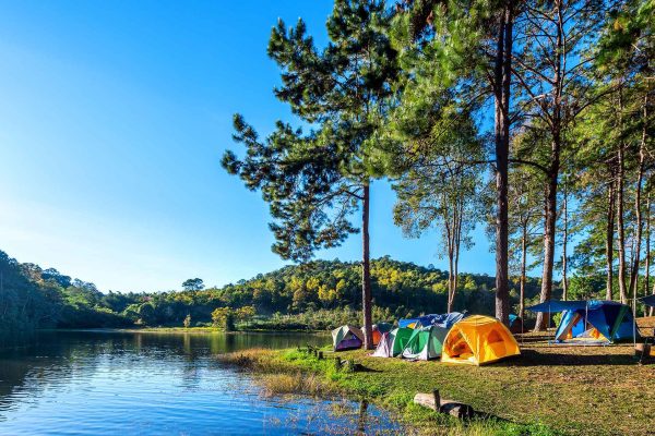 camping-tents-pine-trees-with-sunlight-pang-ung-lake-mae-hong-son-thailand-(1)
