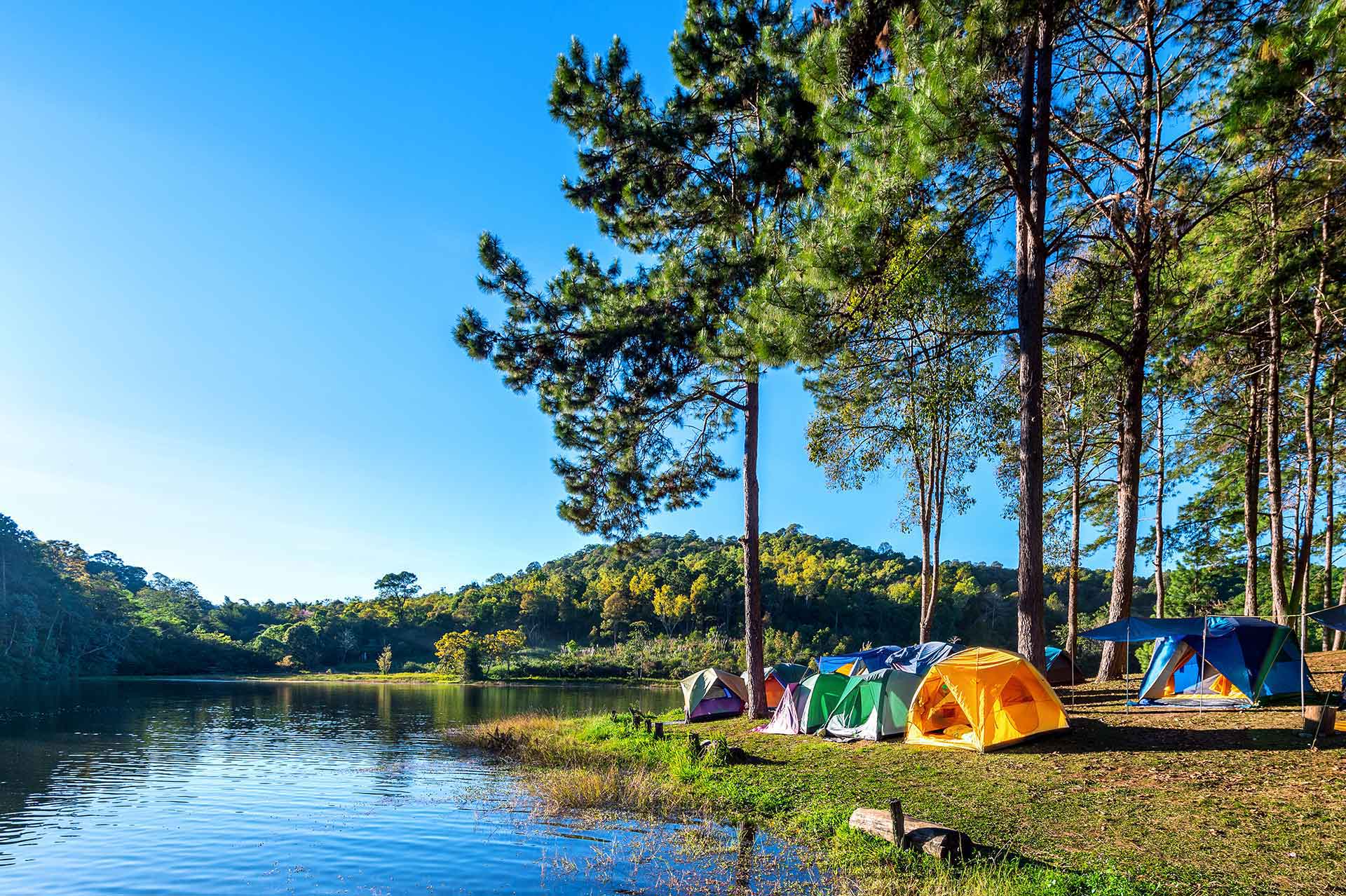 camping-tents-pine-trees-with-sunlight-pang-ung-lake-mae-hong-son-thailand-(1)