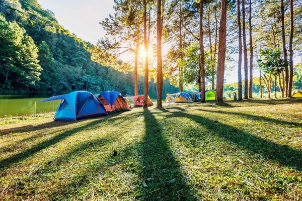 camping-tents-pine-trees-with-sunlight-pang-ung-lake-mae-hong-son-thailand