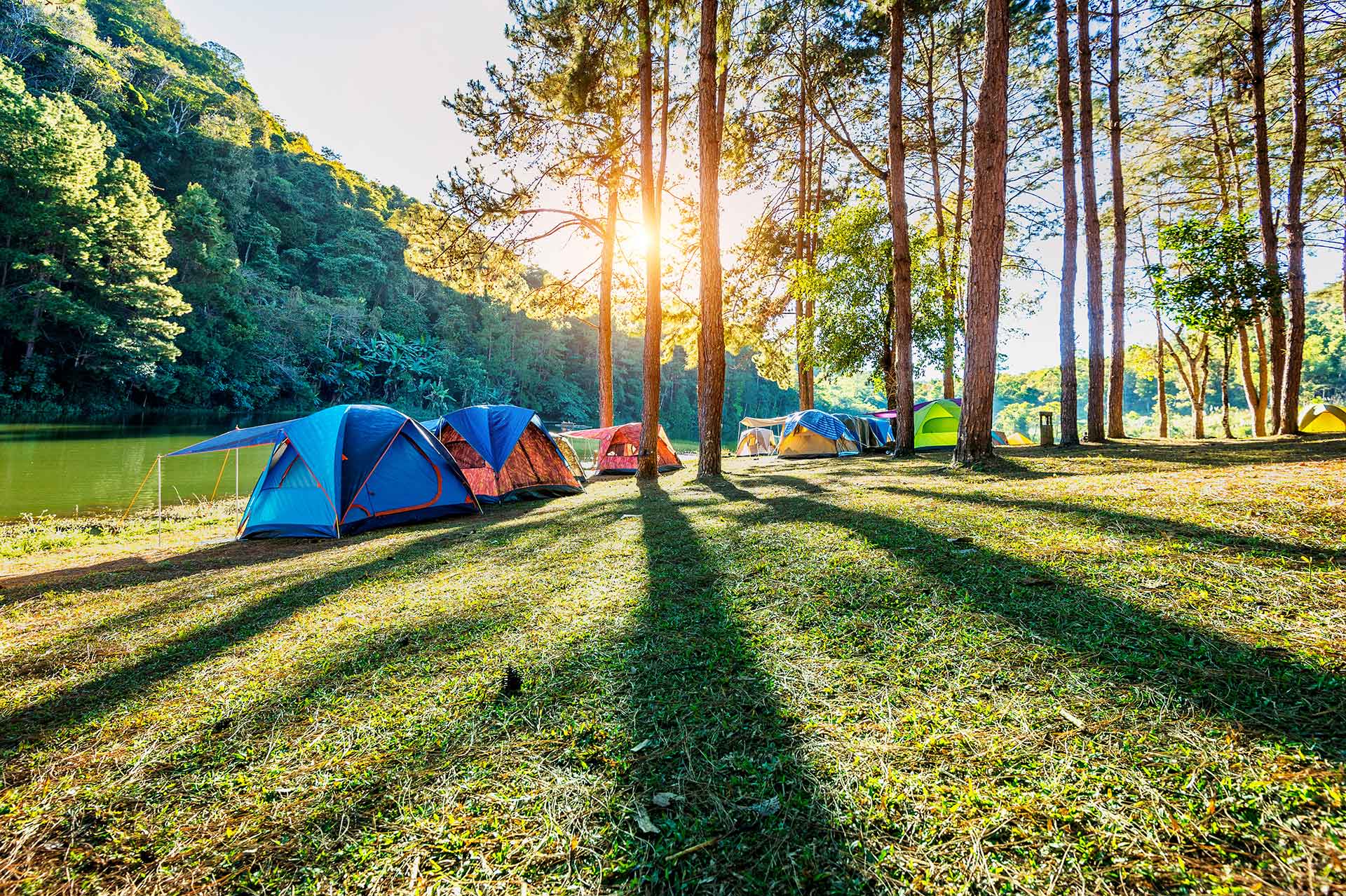 camping-tents-pine-trees-with-sunlight-pang-ung-lake-mae-hong-son-thailand