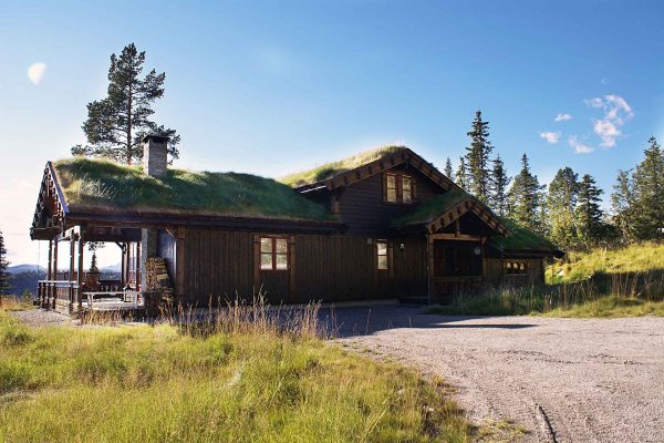 typical-norwegian-rural-cottage-with-breathtaking-landscape-beautiful-greenery-norway-(2)